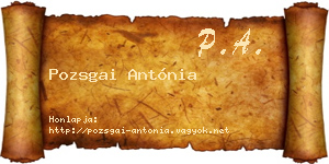 Pozsgai Antónia névjegykártya